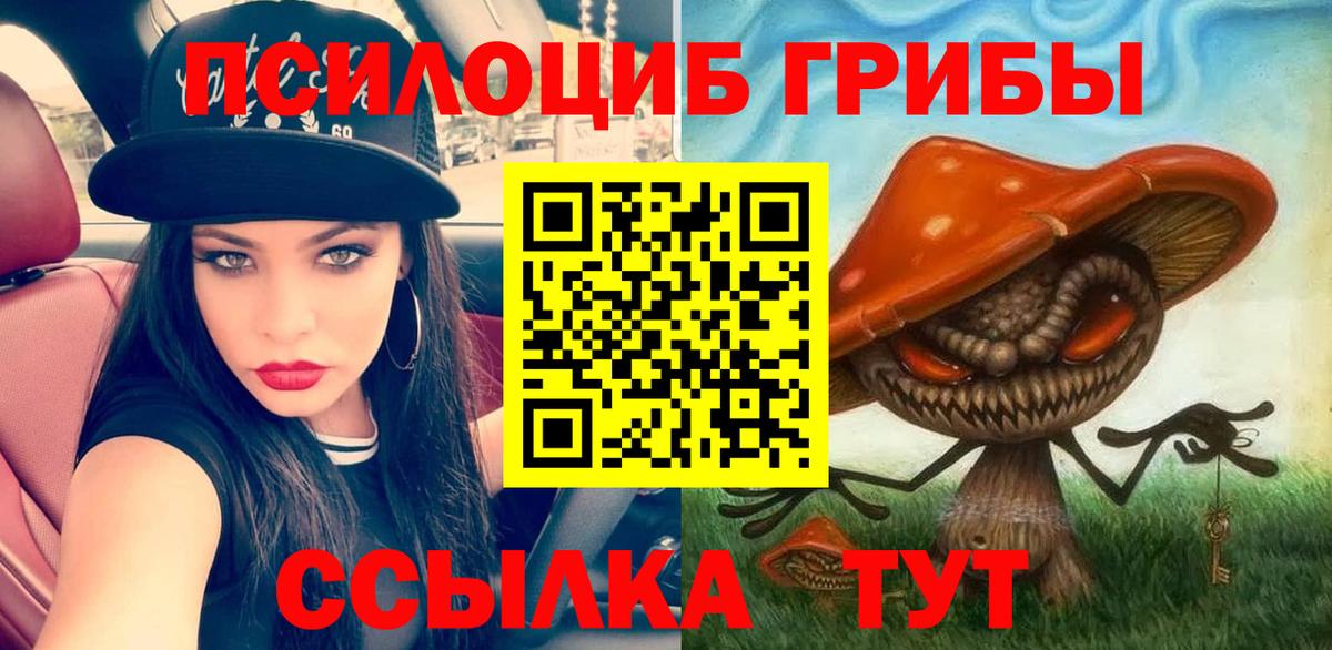 Галлюциногенные грибы прущие грибы  Галлюциногенные грибы прущие грибы  Курск  Вход с VPN 